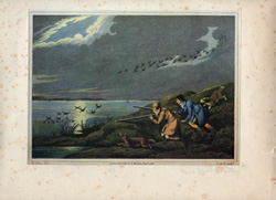 Fox hunting, polo and other horse prints
